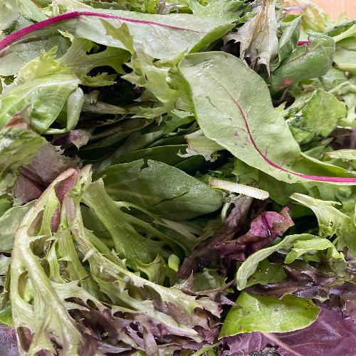 Fresh Spring Mix