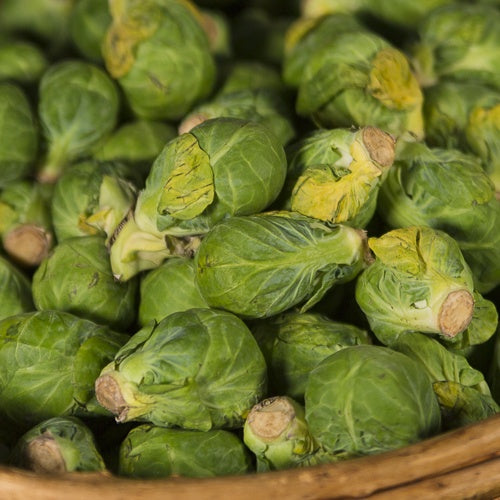 Brussels Sprouts